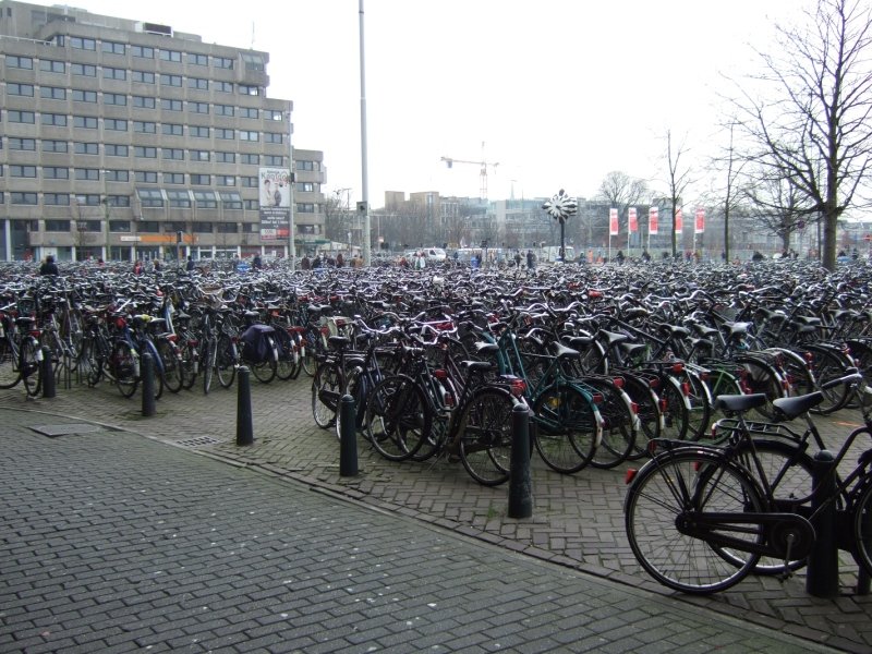 bikes parked